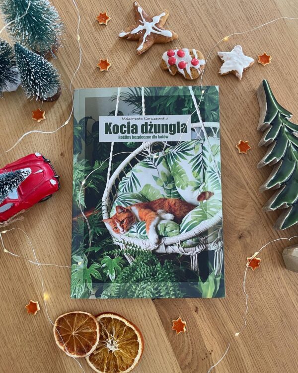 Kocia Dżungla książka drukowana