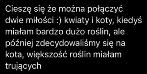 kocia dżungla e book (pdf)