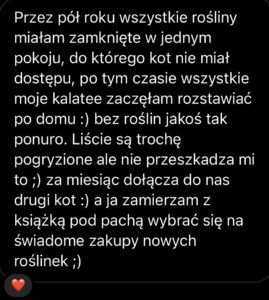 kocia dżungla e book (pdf)