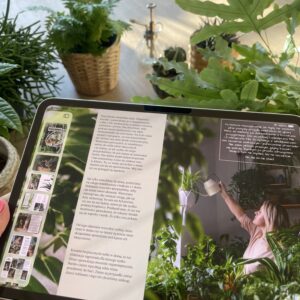 Kocia Dżungla e-book (PDF)