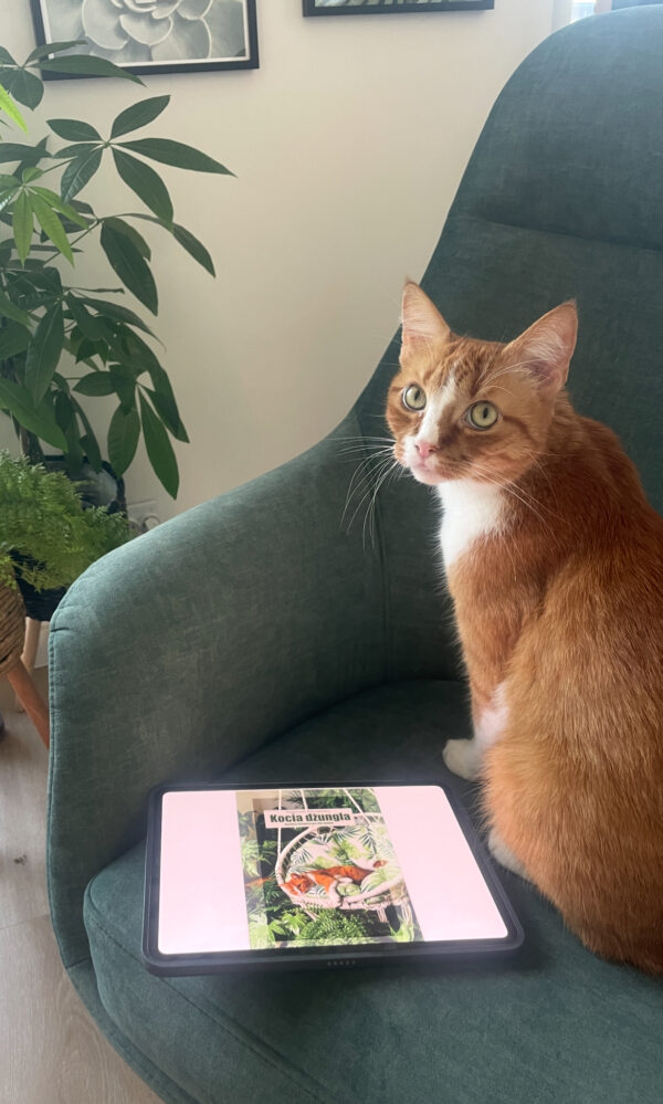 kocia dżungla e book (pdf)