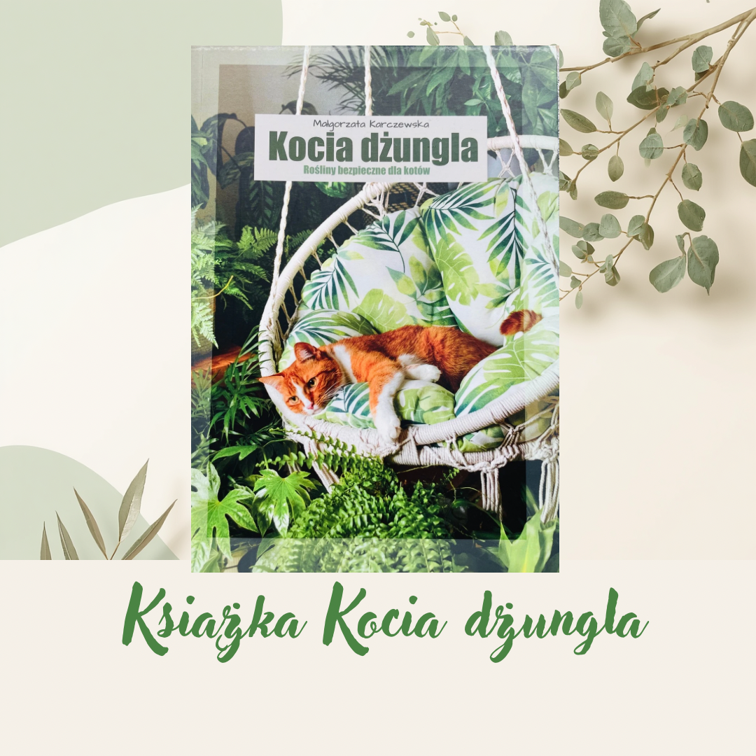 Kocia Dżungla książka drukowana
