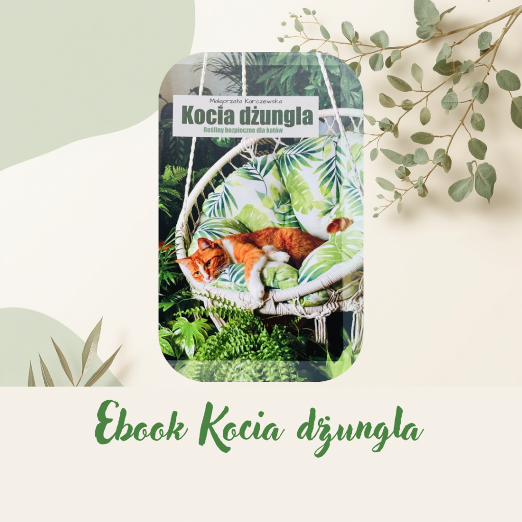 Kocia Dżungla e-book (PDF)
