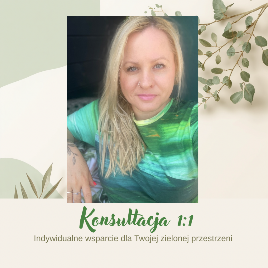 Konsultacja 1:1