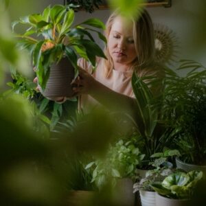 b9a1a613 4d83 4f69 9180 15b48f7b69c7