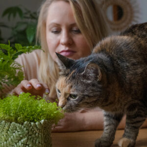 konsultacja „kocia dżungla”