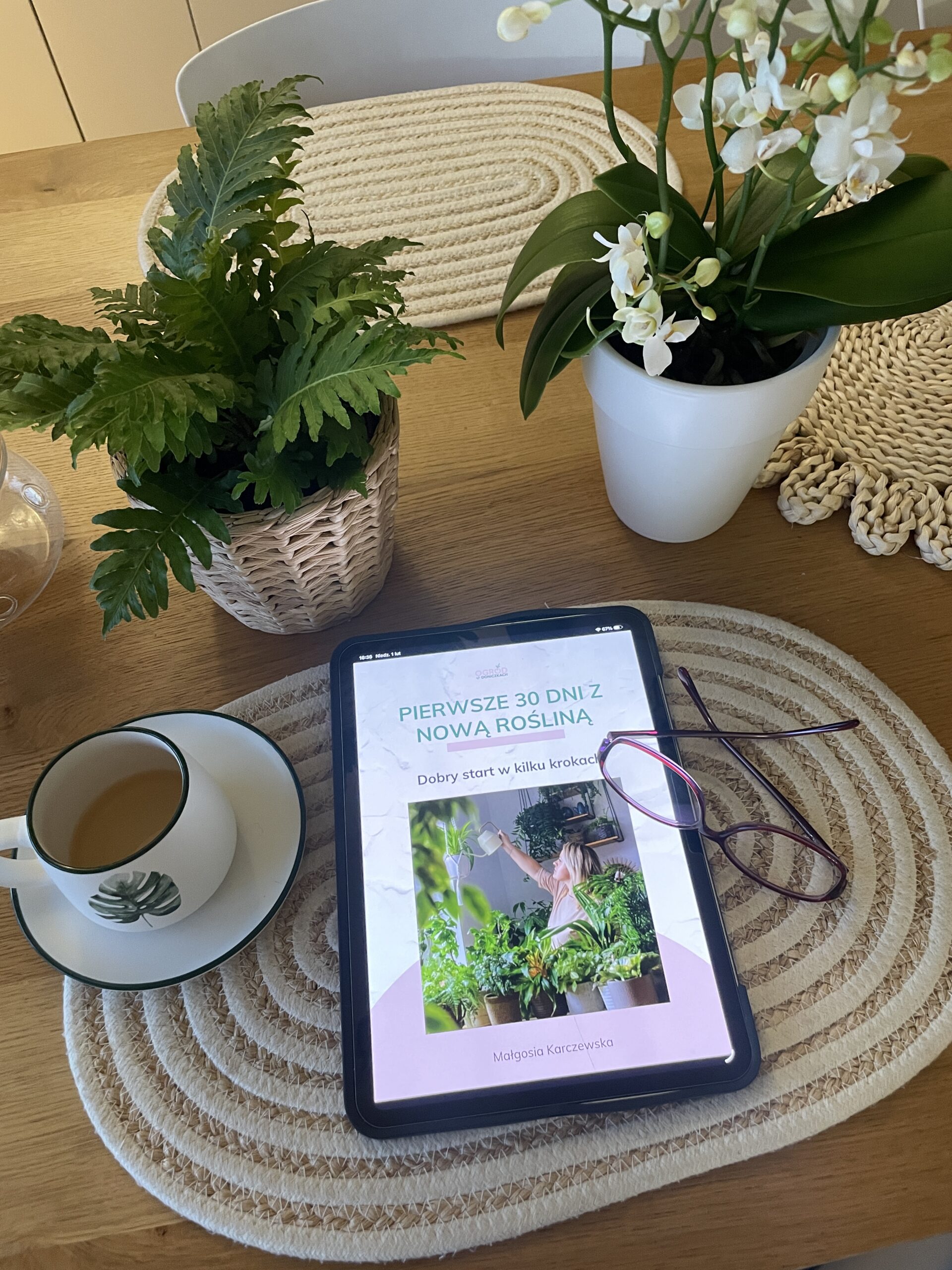 Pierwsze 30 dni z nową rośliną e-book - obrazek 2