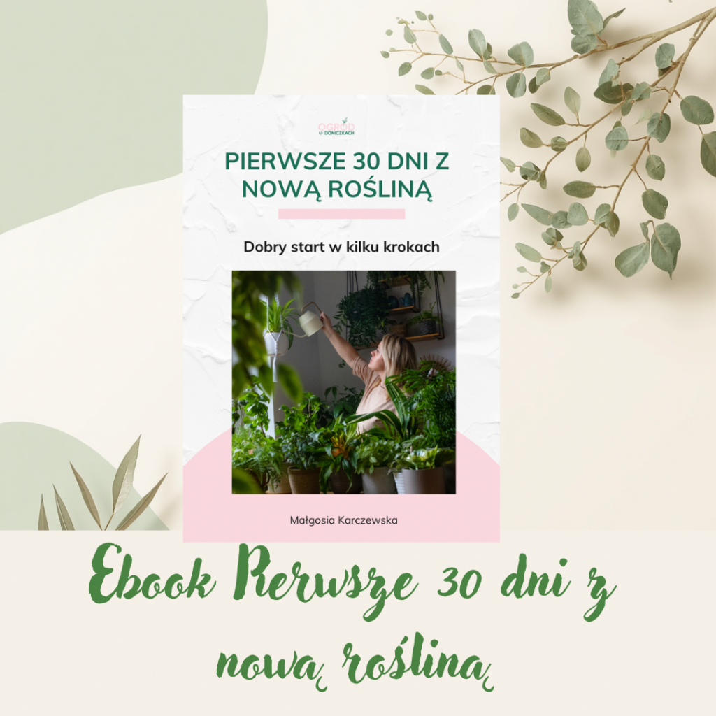 Pierwsze 30 dni z nową rośliną e-book