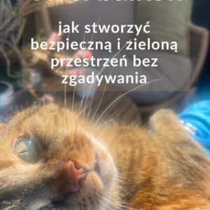 „Koci balkon” (e-book)