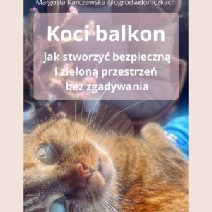 „Koci balkon” (e-book)