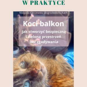 Koci Balkon w praktyce – Twoja oaza pod moim okiem + ebook