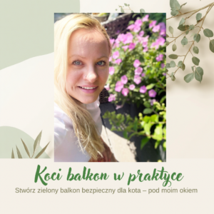 Koci Balkon w praktyce + ebook