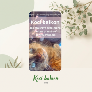 „Koci balkon” (e-book)