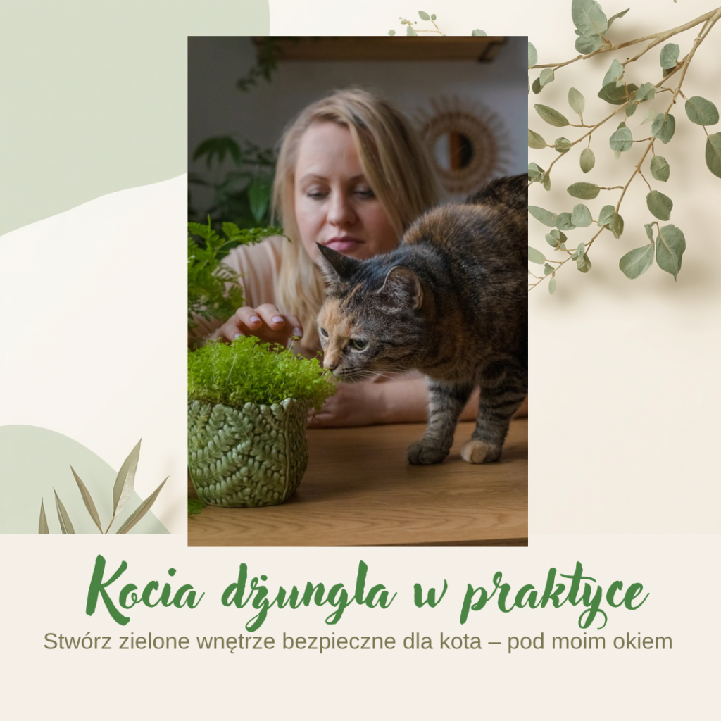 Kocia dżungla w praktyce + ebook