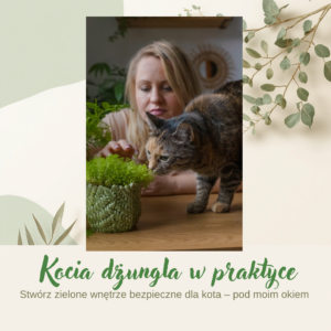 Kocia dżungla w praktyce + ebook